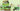 IMPORTS DRAGON - Collection : Mine Un Insecte - Party Shop
