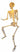 sunstar industrie - 5ft full body skeleton with LED light strings – spooky Halloween decoration for haunted house, indoor & outdoor décor, and scary party setups. Party Shop