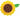 Anagram - Ballon Mylar Standard - Tournesol - Party Shop