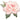 Qualatex - Ballon Mylar Supershape 36Po - Fleurs - Party Shop