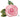 Anagram - Ballon Mylar Supershape - Fleur Rose - Party Shop