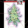 TINSLEY - Tatouage Temporaire - Nug - Party Shop