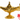 Adult Gold Aladdin Magic Lamp