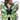 Adjustable green butterfly wings for adults