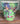 Party Shop - Verres En Carton (10) - Sonic - Party Shop