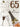 Distribution Incognito - Carte de Fête - Bon Anniversaire - 65 Ans - Party Shop