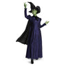 Disguise - Costume Adulte Deluxe Elphaba de Wicked - Robe Mauve - Party Shop