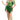 Leg Avenue - Costume Adulte Plus- Fée De La Forêt - Party Shop