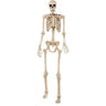 Seasons LTD - Décoration D'Halloween 6Pi2 - Squelette - Party Shop