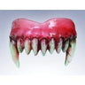 RUBIES - Dents De Vampire Ensanglantées - Party Shop