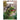 Santex - Ensemble de Décorations de Fête - Dinosaure - Party Shop