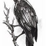 TINSLEY - Goth Temp - Tatouage Corbeau - Party Shop