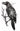 TINSLEY - Goth Temp - Tatouage Corbeau - Party Shop