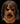 Trick or Treat Studios  - Official Leatherface III mask from Texas Chainsaw Massacre 3 by Trick or Treat Studios – realistic horror latex mask for Halloween, cosplay, and collectors - Party Shop