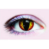 PRIMAL - Verres de contact Primal - Dragon - Party Shop