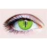PRIMAL - Verres de contact Primal - Jurassic Iii - Party Shop
