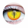 PRIMAL - Verres de contact Primal - Jurassic I - Party Shop