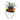 Amscan - Mini Chapeau - 60 Ans - Party Shop