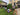PARTY SHOP - Montages Ballons - Piquets Terrain - Party Shop