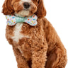 RUBIES - Noeud Papillon Pour Chien - Party Shop