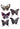SUNSTAR INDUSTRIES - Pince Papillon 4'' (5Pc) - Party Shop