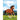 Creative Converting - Sacs À Surprises (8) - Chevaux & Poney - Party Shop