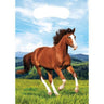 Creative Converting - Sacs À Surprises (8) - Chevaux & Poney - Party Shop