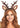 Leg Avenue - Serre Tête - Bois de Cerf et Faon - Party Shop
