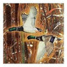 HAVERCAMP - Serviettes De Table (16) - Chasse Aux Canards - Party Shop