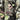 HAVERCAMP - Serviettes De Table (16) - Parti Chasser - Party Shop