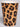 HAVERCAMP - Verres 12Oz - Mixe 8 (Tigre-Leopard-Giraffe- Zebre) - Party Shop
