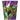 Unique - Verres En Carton 9Oz (8) - Ninja Turtles - Party Shop