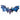 Forum Novelty - Ailes De Dragon - Bleu - Party Shop