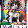 Anagram - Ballon Mylar Jr Shape - Party Animal - Party Shop