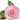Anagram - Ballon Mylar Supershape - Fleur Rose - Party Shop