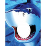 Creative Converting - Bannière Photo (40"X50") - Requin - Party Shop
