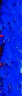 HAPPY BOA - Boa En Plume - Bleu Et Or - Party Shop