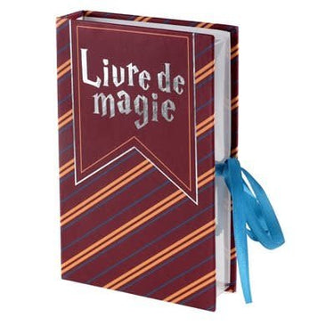 Santex - Boîte Livre - Sorcier - Party Shop
